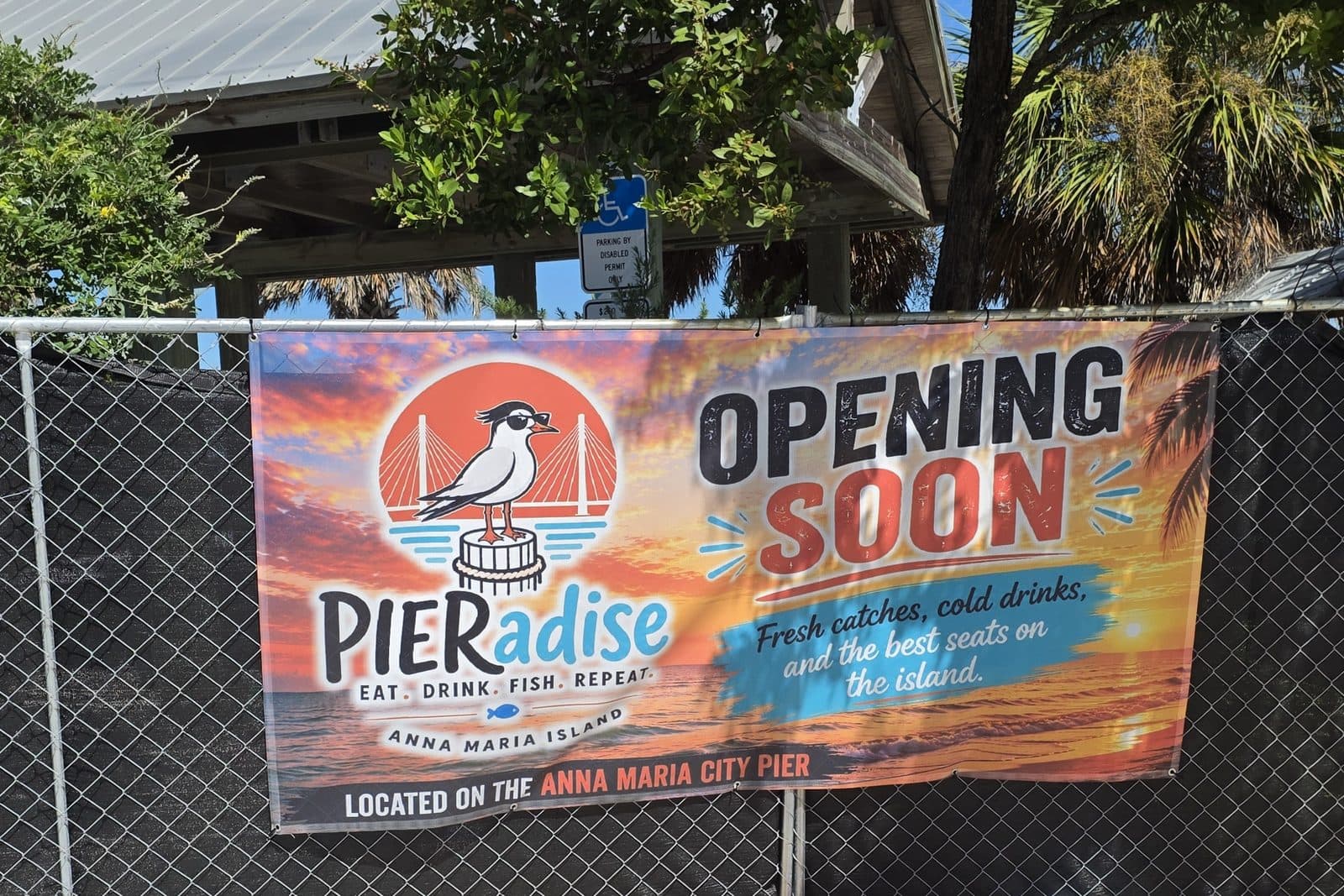 A PIERadise opening soon banner on the construction fence at the Anna Maria City Pier, with a tern on a piling and a sunset